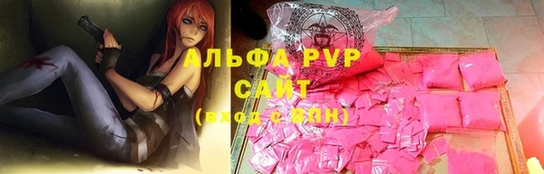 крисы Тайга