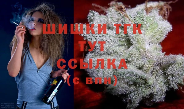гашик Володарск